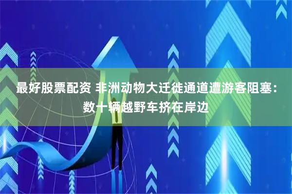 最好股票配资 非洲动物大迁徙通道遭游客阻塞：数十辆越野车挤在岸边
